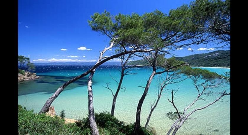 Petit Coin De Paradis Les Pieds Dans L'Eau La Londe-les-Maures ภายนอก รูปภาพ